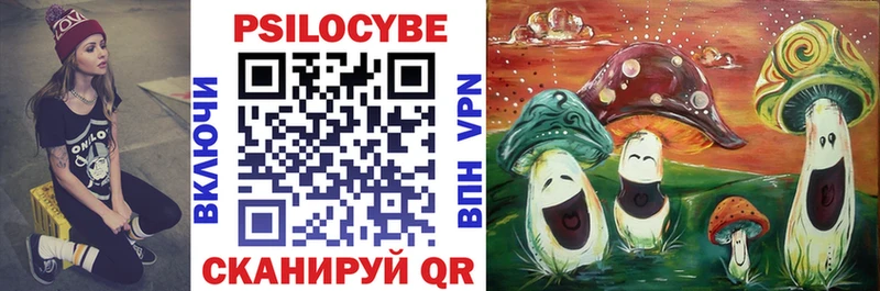 Псилоцибиновые грибы прущие грибы  купить наркоту  Красково 